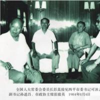 ȫ���˴�ί��ίԱ������Ӽ���ƽ��ί��ǿ����ơ���ί�����������������Э��ϯ�ſ�Ӣ