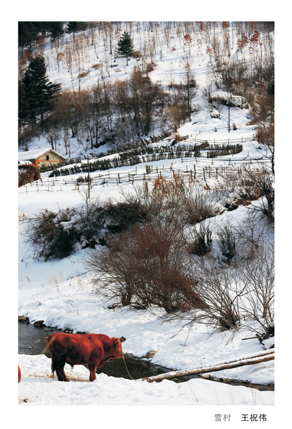 ѩ�塪����ףΰ