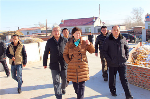 ?��ƽ����Э����ϯ����֥��˫���������罪�Ҵ忪չ��ƶ�Խӹ���